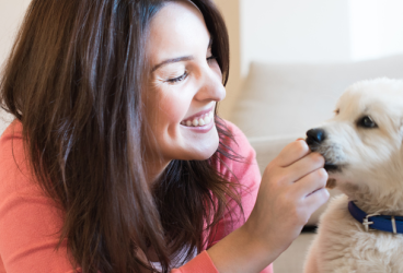 Beneficios de la lisina en el pienso para perros