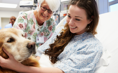 ¿Qué es la terapia asistida con perros?