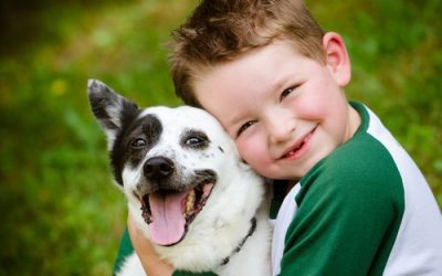 Los perros y la terapia con niños autistas