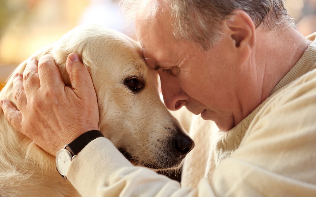 Terapia con perros para personas mayores