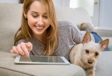 Cómo evitar que el perro se suba al sofá