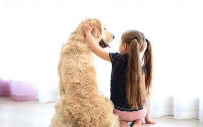Cómo es la alimentación de un perro de raza grande
