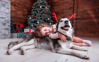 Razones para adoptar un perro en Navidades